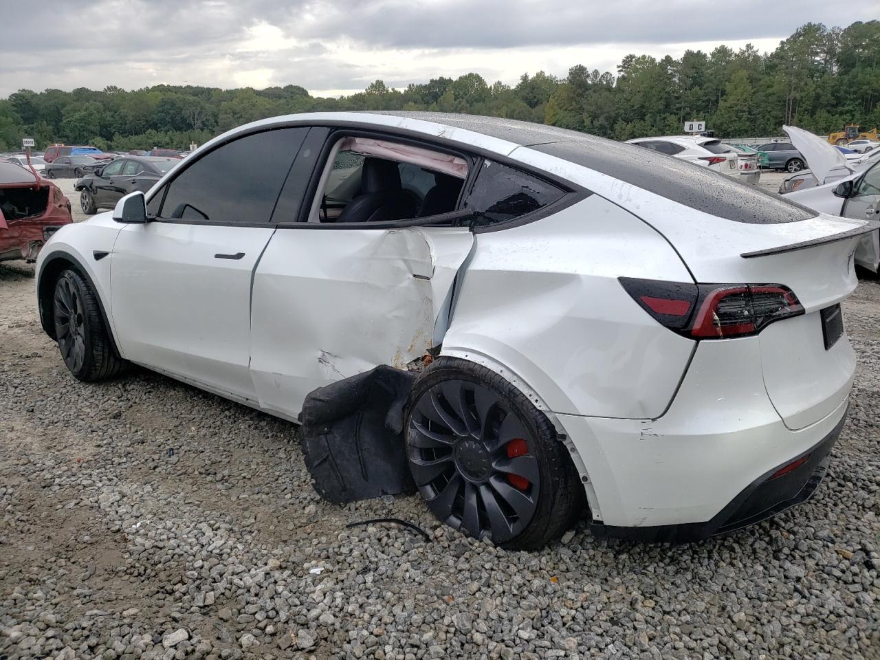 2024 TESLA MODEL Y  VIN:7SAYGDEF6RF051510