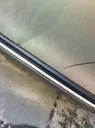 2019 Lexus ES 300 JTHB21B12K2049785 VIN:JTHB21B12K2049785