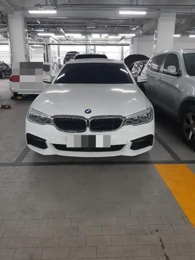 2019 BMW 520 WBAJF5101LCD42963 VIN:WBAJF5101LCD42963