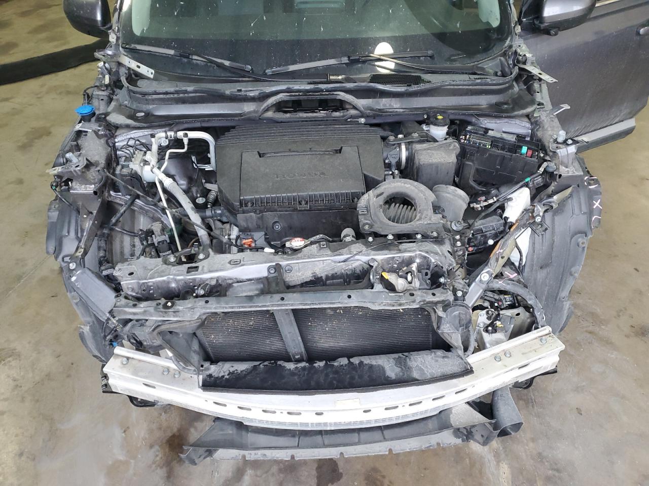 2023 HONDA PILOT EXL VIN:5FNYG2H5XPB004949