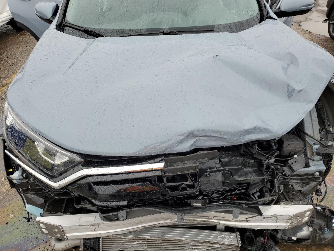 2022 HONDA CR-V EX VIN:7FARW1H51NE010464