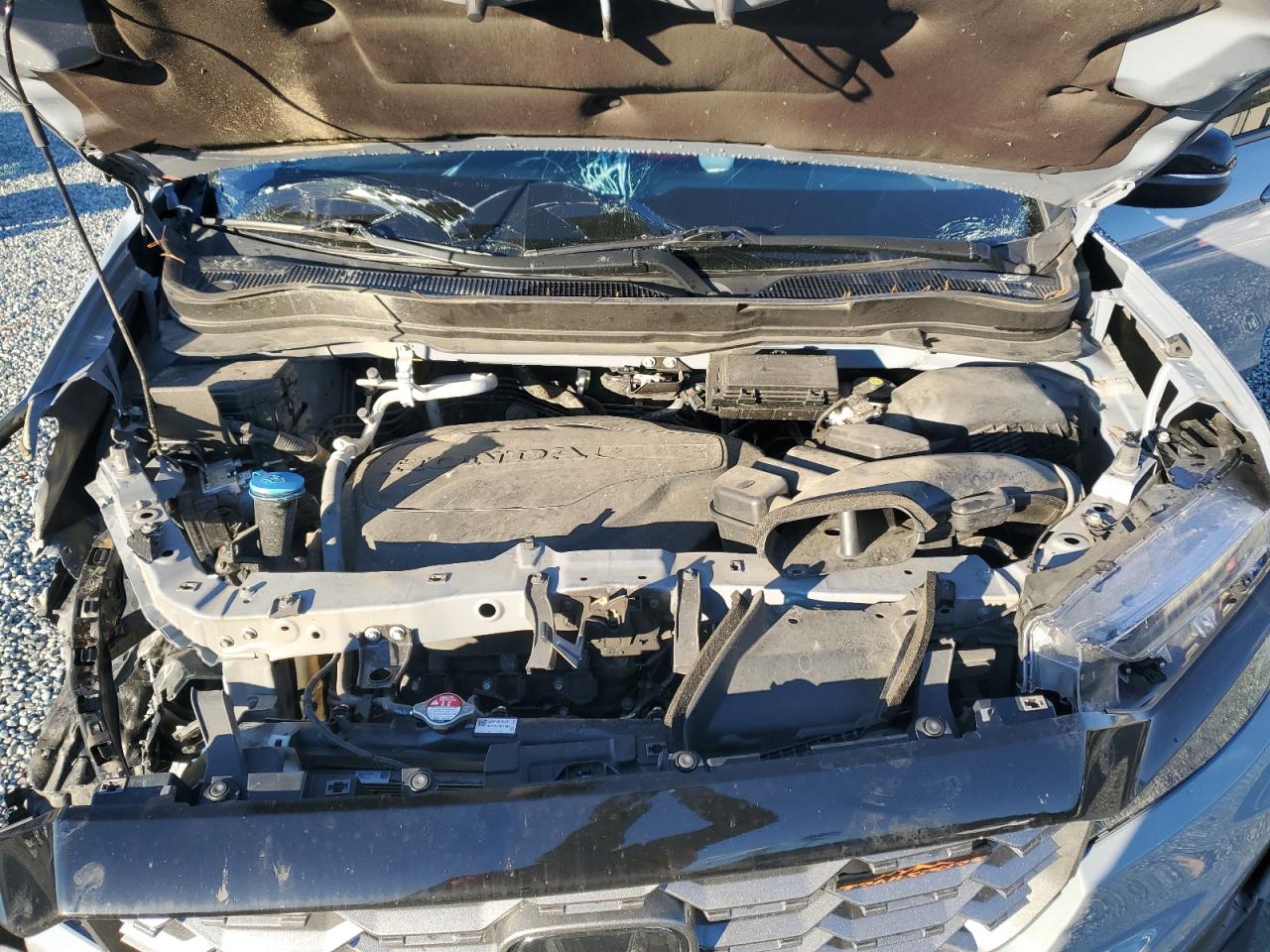 2023 HONDA PASSPORT TRAIL SPORT VIN:5FNYF8H65PB003562