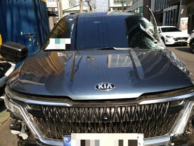 2021 Kia Carnival KNANC813BMS119768 VIN:KNANC813BMS119768