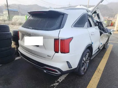 2023 Kia Sorento KNARK81GBPA167065 VIN:KNARK81GBPA167065