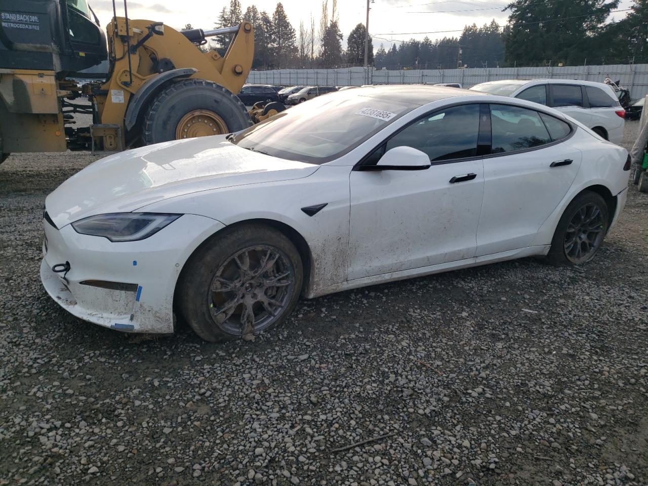 2023 TESLA MODEL S  VIN:5YJSA1E53PF500259