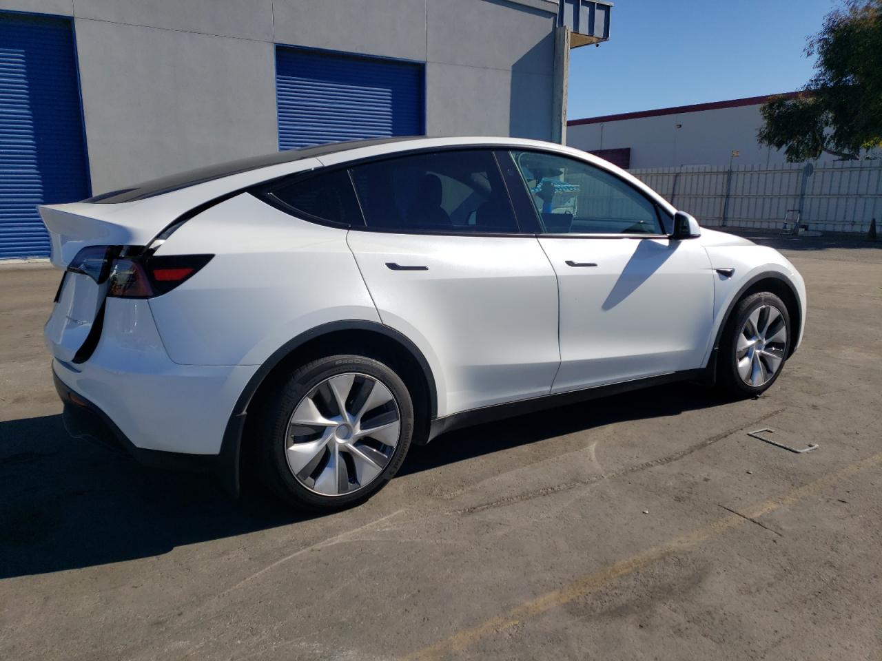 2024 TESLA MODEL Y  VIN:7SAYGDEE2RF004899