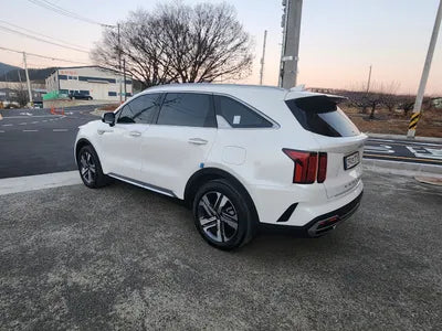 2021 Kia Sorento KNARL81GBNA098823 VIN:KNARL81GBNA098823