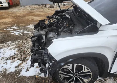 2019 Hyundai Santa FE KMHS381BBKU035744 VIN:KMHS381BBKU035744
