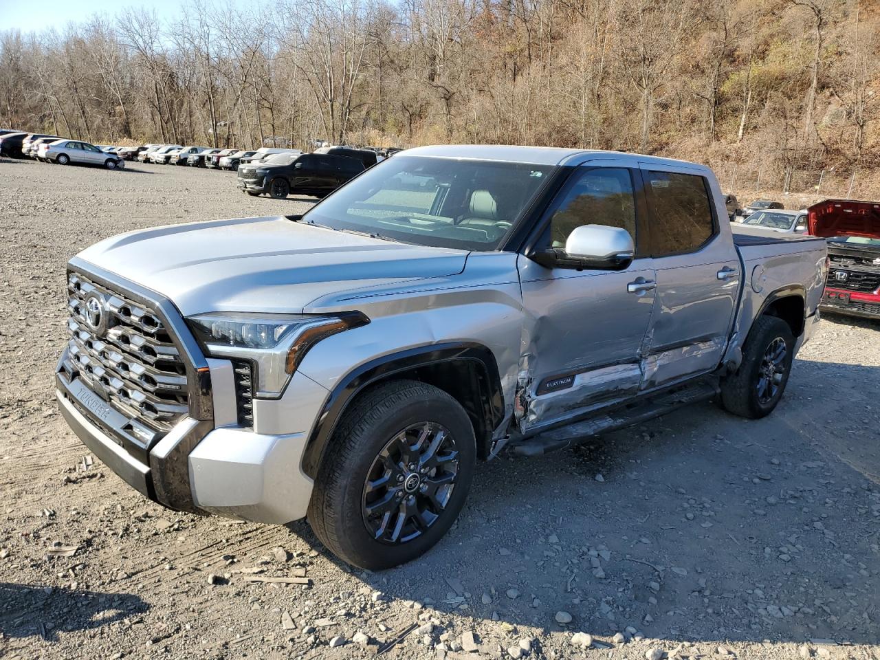 2023 TOYOTA TUNDRA CREWMAX PLATINUM VIN:5TFNA5DB8PX066972