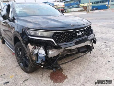 2022 Kia Sorento KNARM81GBNA119224 VIN:KNARM81GBNA119224
