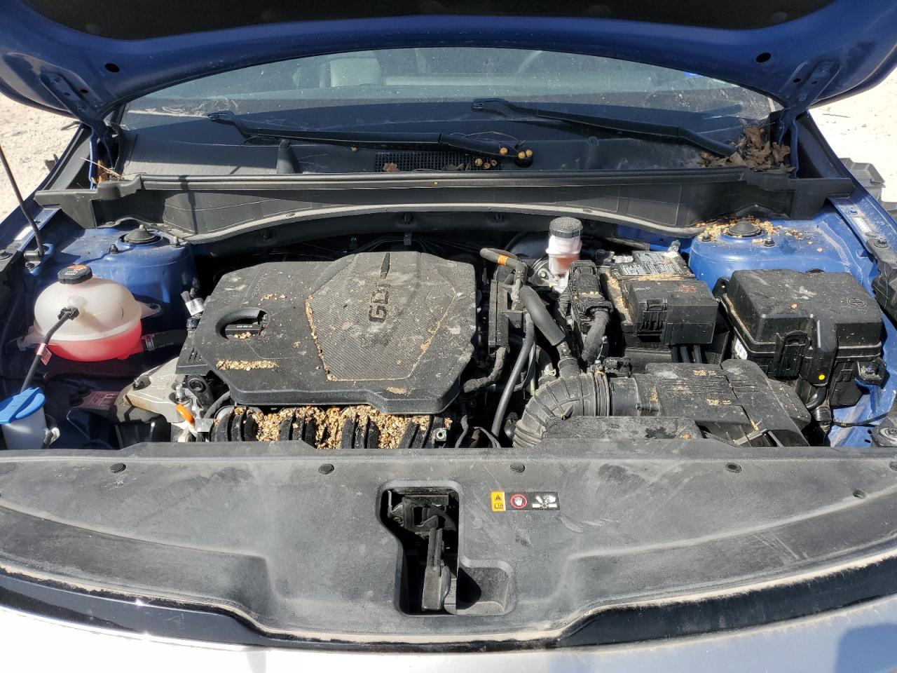 2023 KIA SPORTAGE EX VIN:5XYK33AF4PG042065