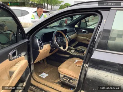 2022 Kia Sorento KNARJ81FGNA147798 VIN:KNARJ81FGNA147798