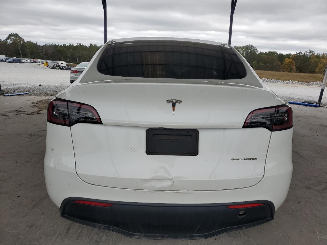 2023 TESLA MODEL Y  VIN:7SAYGDEE8PF771184