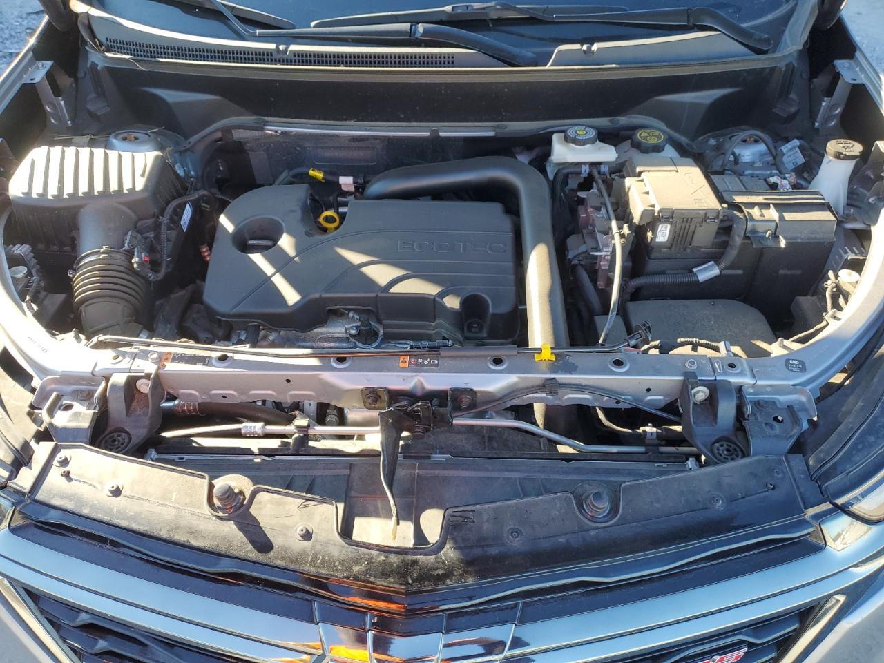 2023 CHEVROLET EQUINOX RS VIN:3GNAXMEGXPL273013