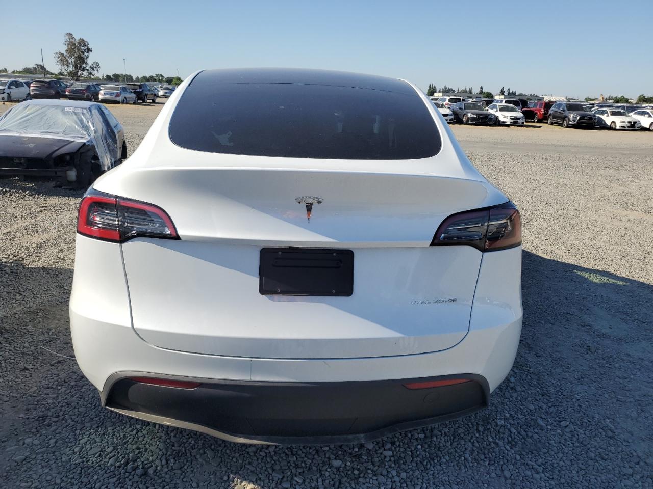 2023 TESLA MODEL Y  VIN:7SAYGDEEXPA148517