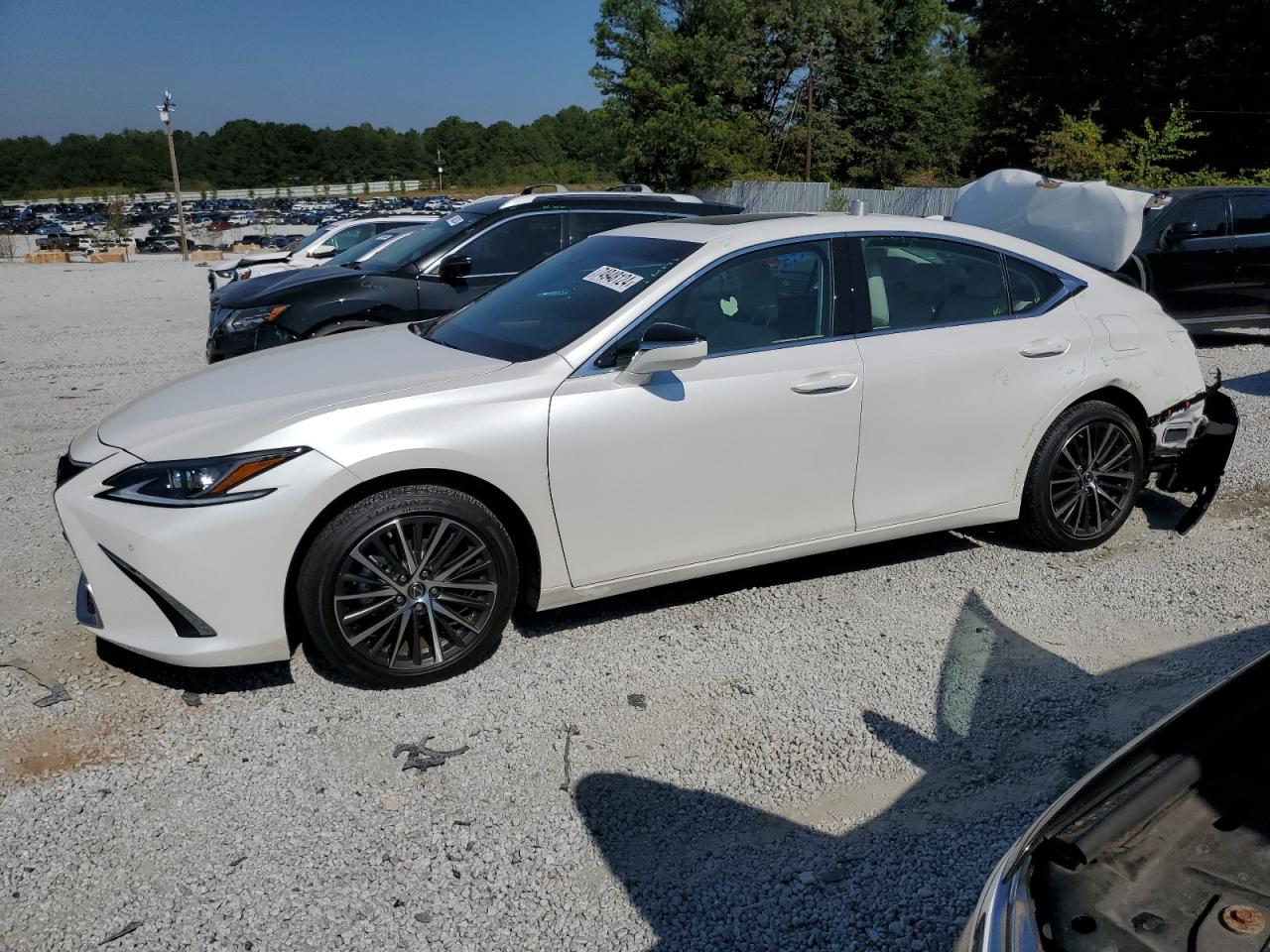 2024 LEXUS ES 350 BASE VIN:58ADZ1B18RU164562