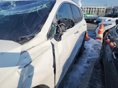 2019 Hyundai Santa FE KMHS281BBKU177128 VIN:KMHS281BBKU177128