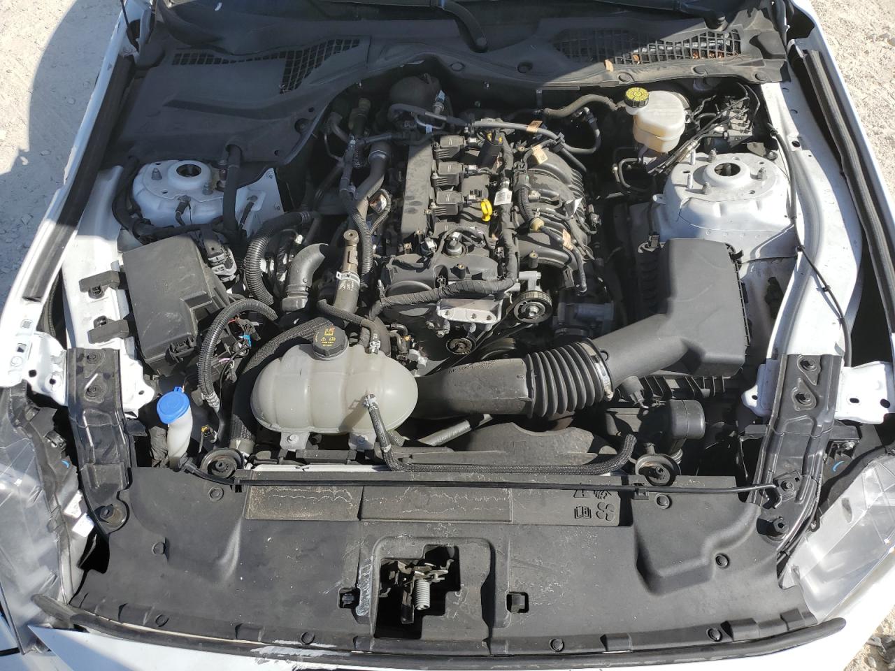 2023 FORD MUSTANG  VIN:1FA6P8TH2P5101842