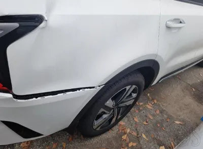 2023 Kia Sorento KNARJ81GBPA204006 VIN:KNARJ81GBPA204006