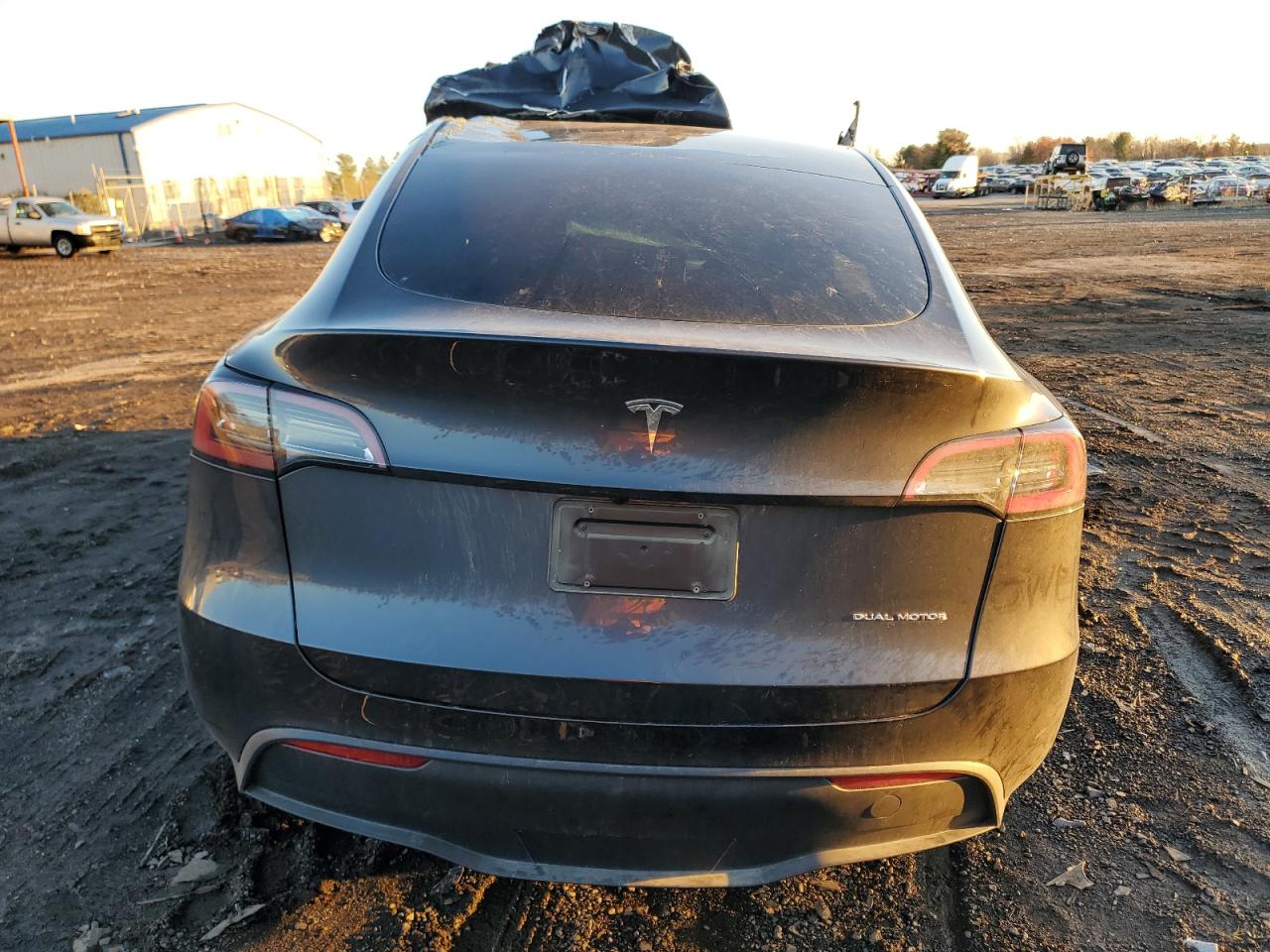 2024 TESLA MODEL Y  VIN:7SAYGDEE4RA319880