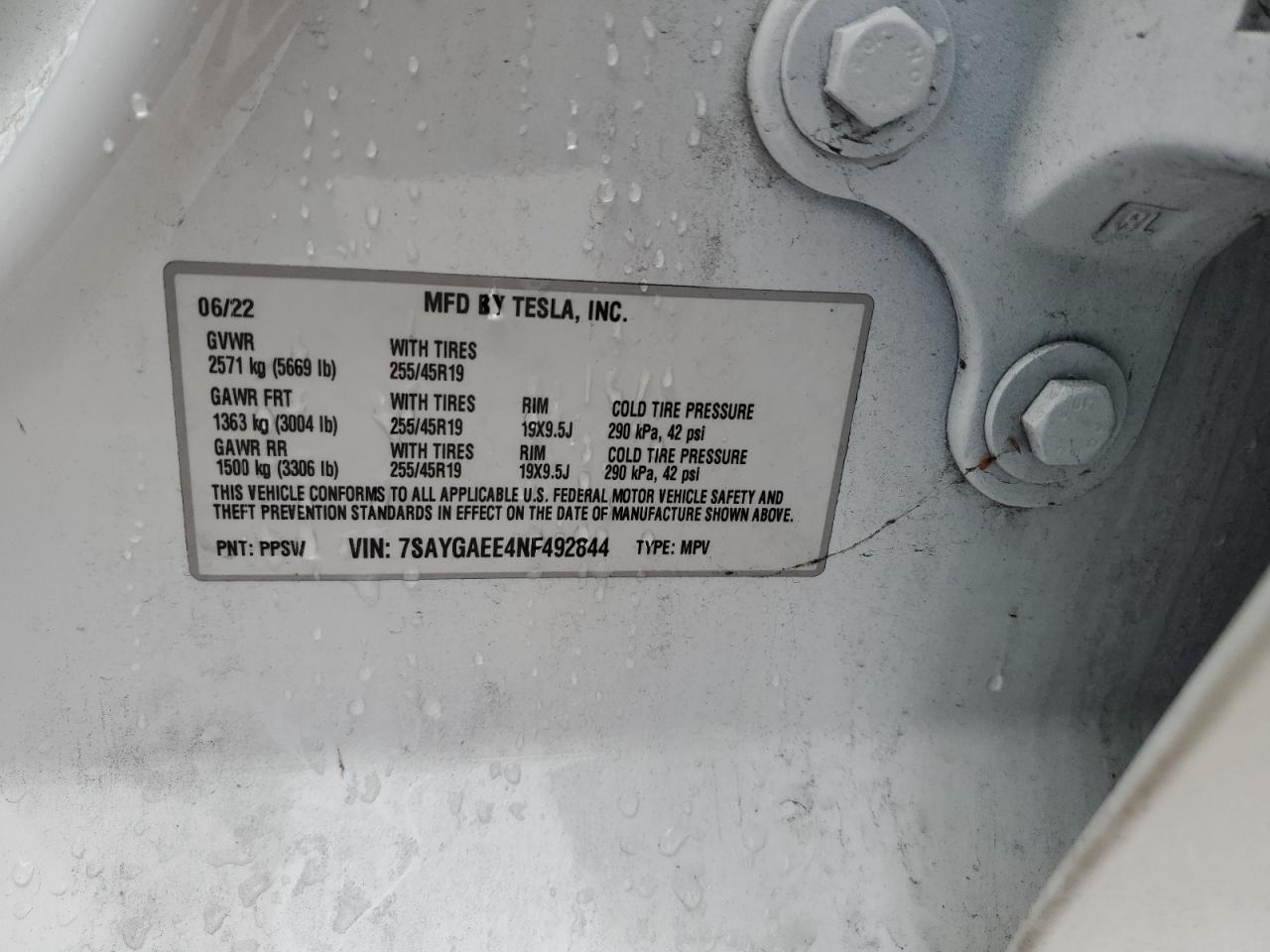 2022 TESLA MODEL Y  VIN:7SAYGAEE4NF492844
