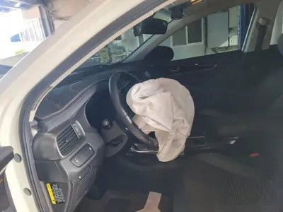 2017 Kia Sorento KNAPS81ADHA290713 VIN:KNAPS81ADHA290713