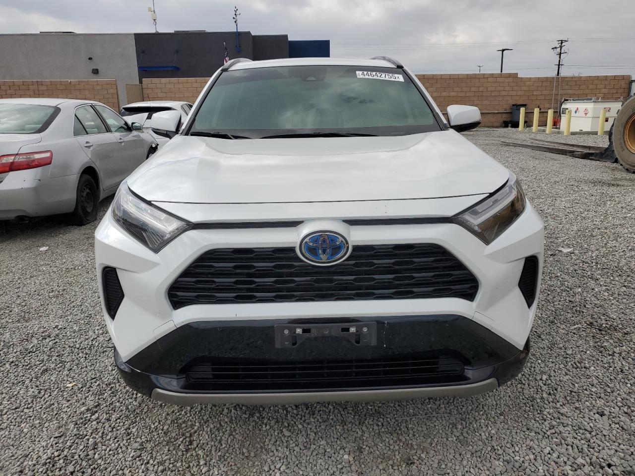 2023 TOYOTA RAV4 SE VIN:JTM16RFV7PD100545