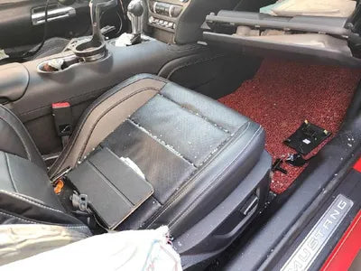 2019 Ford Mustang VIN: