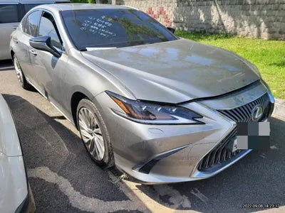 2021 Lexus ES 300 JTHBA1C18M2003186 VIN:JTHBA1C18M2003186