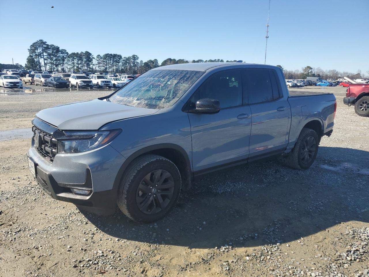 2024 HONDA RIDGELINE SPORT VIN:5FPYK3F14RB016447