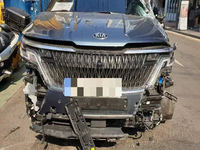 2021 Kia Carnival KNANC813BMS119768 VIN:KNANC813BMS119768