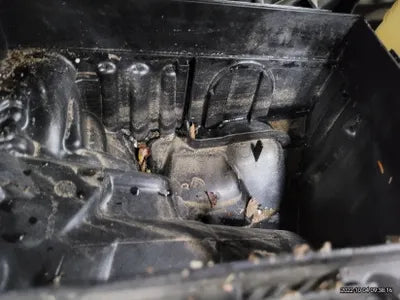 2020 MINI Clubman WMW71BB01L2N26003 VIN:WMW71BB01L2N26003