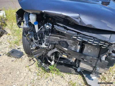 2019 Kia Sorento KNAPS81BBKA545743 VIN:KNAPS81BBKA545743