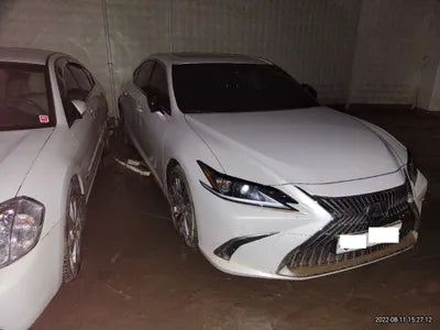 2019 Lexus ES 300 JTHB21B11K2015515 VIN:JTHB21B11K2015515