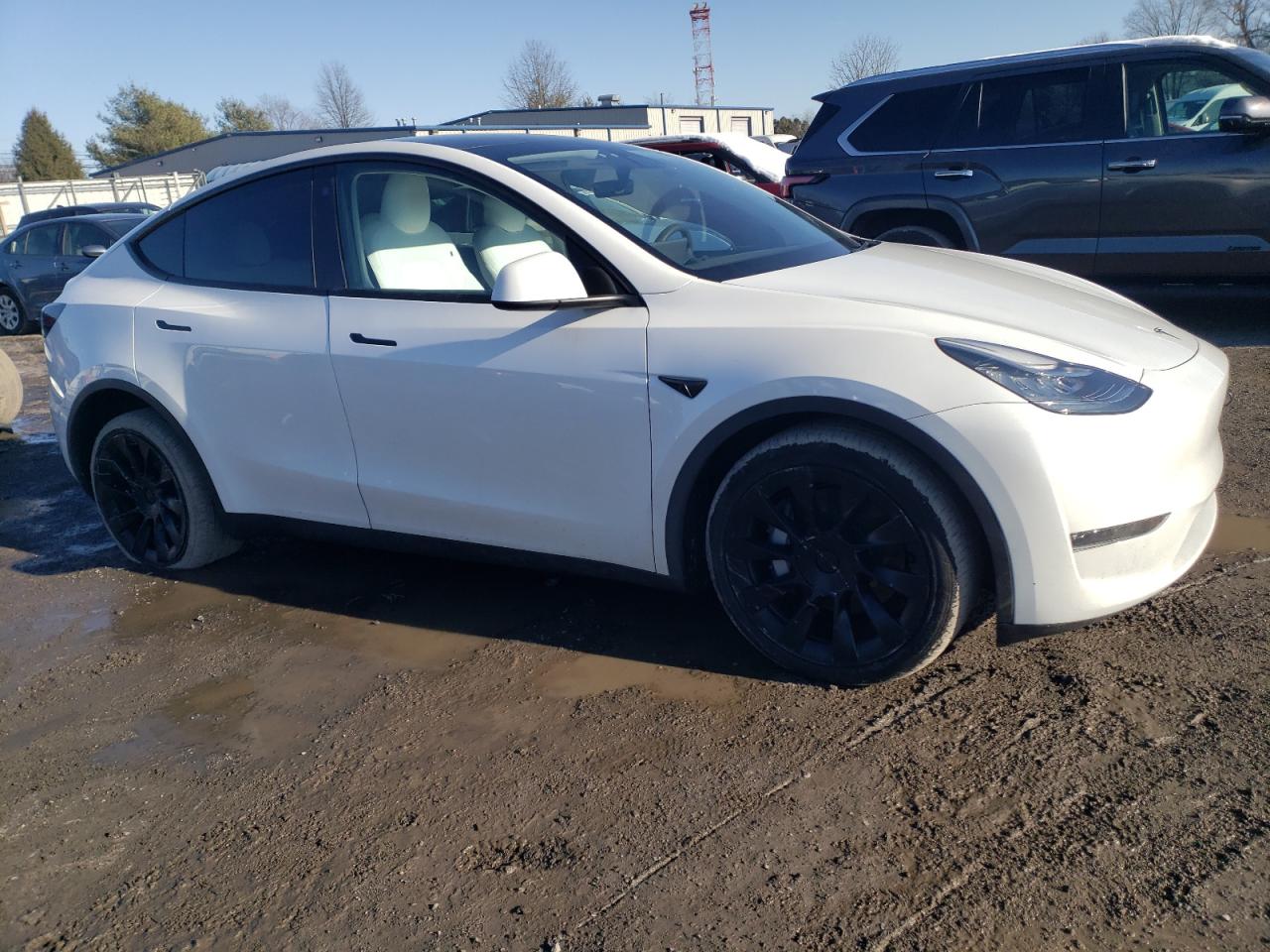 2023 TESLA MODEL Y  VIN:7SAYGDEE7PA105995
