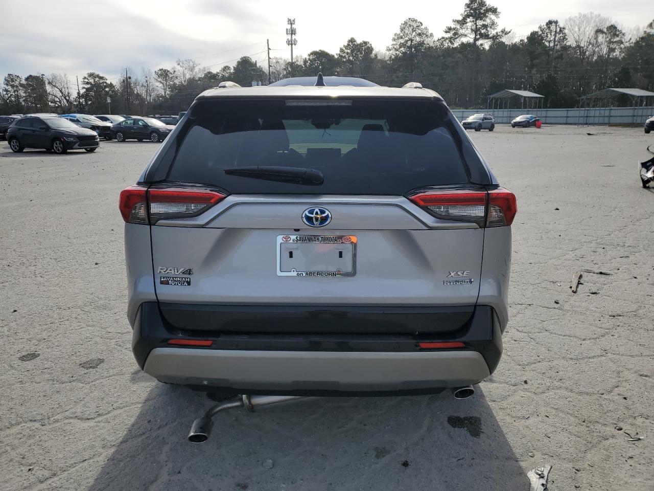 2024 TOYOTA RAV4 XSE VIN:JTME6RFV2RD561656