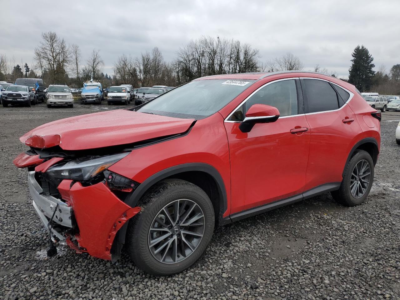 2024 LEXUS NX 350H BASE VIN:JTJGKCEZ4R2035818