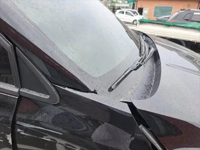 2020 Kia Carnival KNANC81BBMS018906 VIN:KNANC81BBMS018906