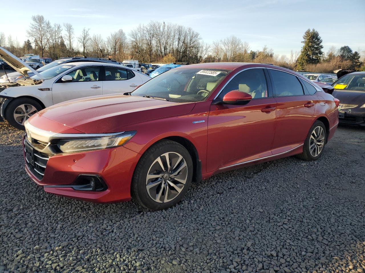 2022 HONDA ACCORD HYBRID EXL VIN:1HGCV3F5XNA025591