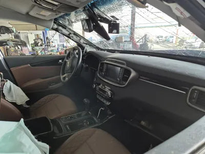2019 Kia Sorento KNAPH81BBLA573070 VIN:KNAPH81BBLA573070