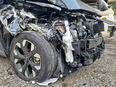 2023 Kia Sportage KNAPV81BGPK137466 VIN:KNAPV81BGPK137466