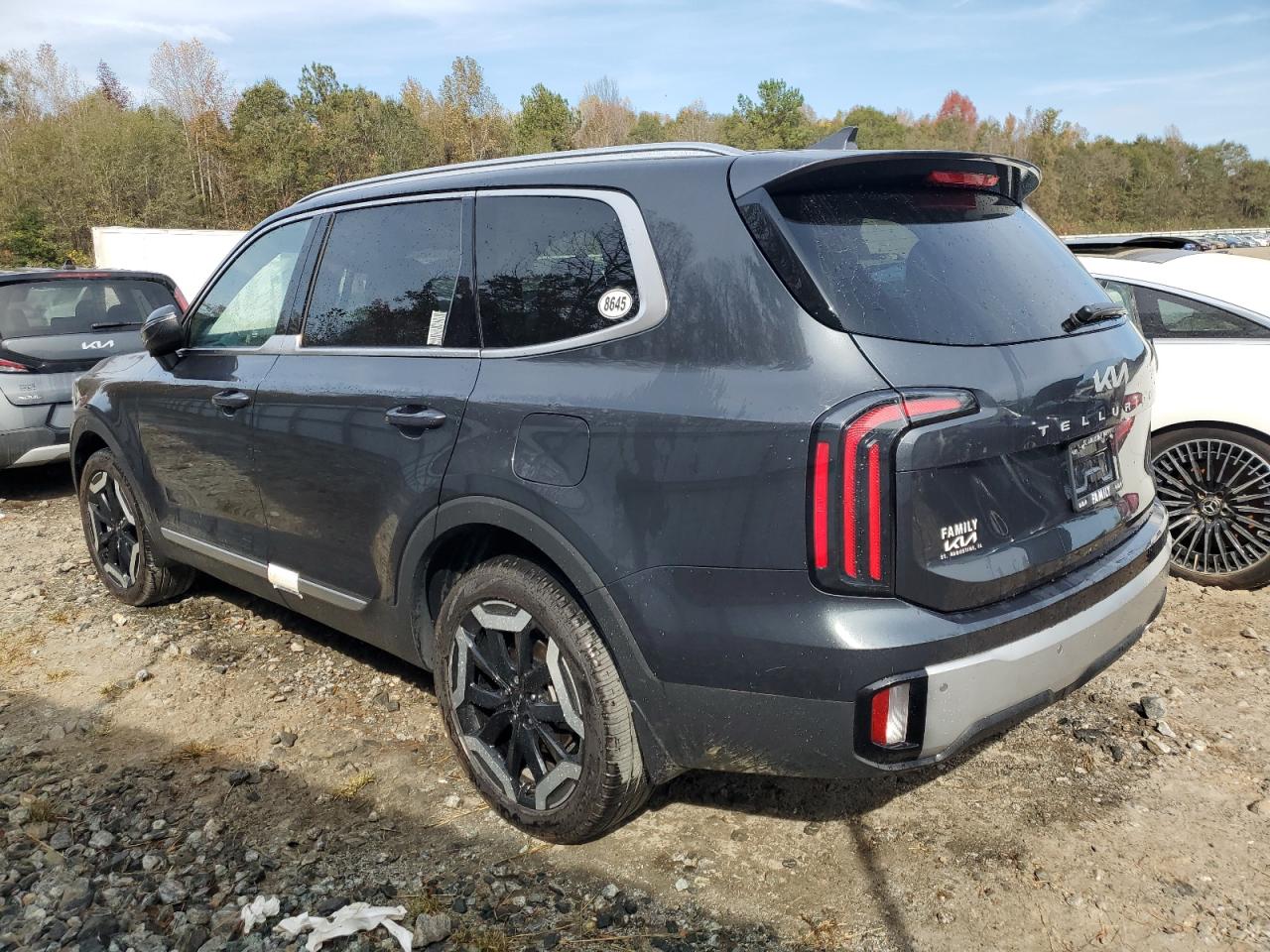 2024 KIA TELLURIDE EX VIN:5XYP34GC2RG425904