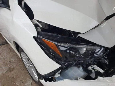 2019 Nissan Leaf 1N4AZ1CP1KC311856 VIN:1N4AZ1CP1KC311856