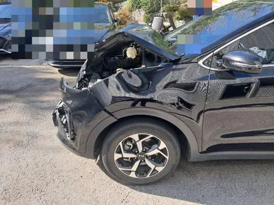 2019 Kia Sportage KNAPL812GKK737170 VIN:KNAPL812GKK737170