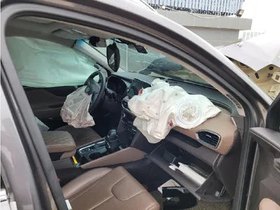 2019 Hyundai Santa FE KMHS381CDKU010058 VIN:KMHS381CDKU010058