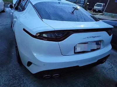 2019 Kia Stinger KNAE351ABKS058699 VIN:KNAE351ABKS058699