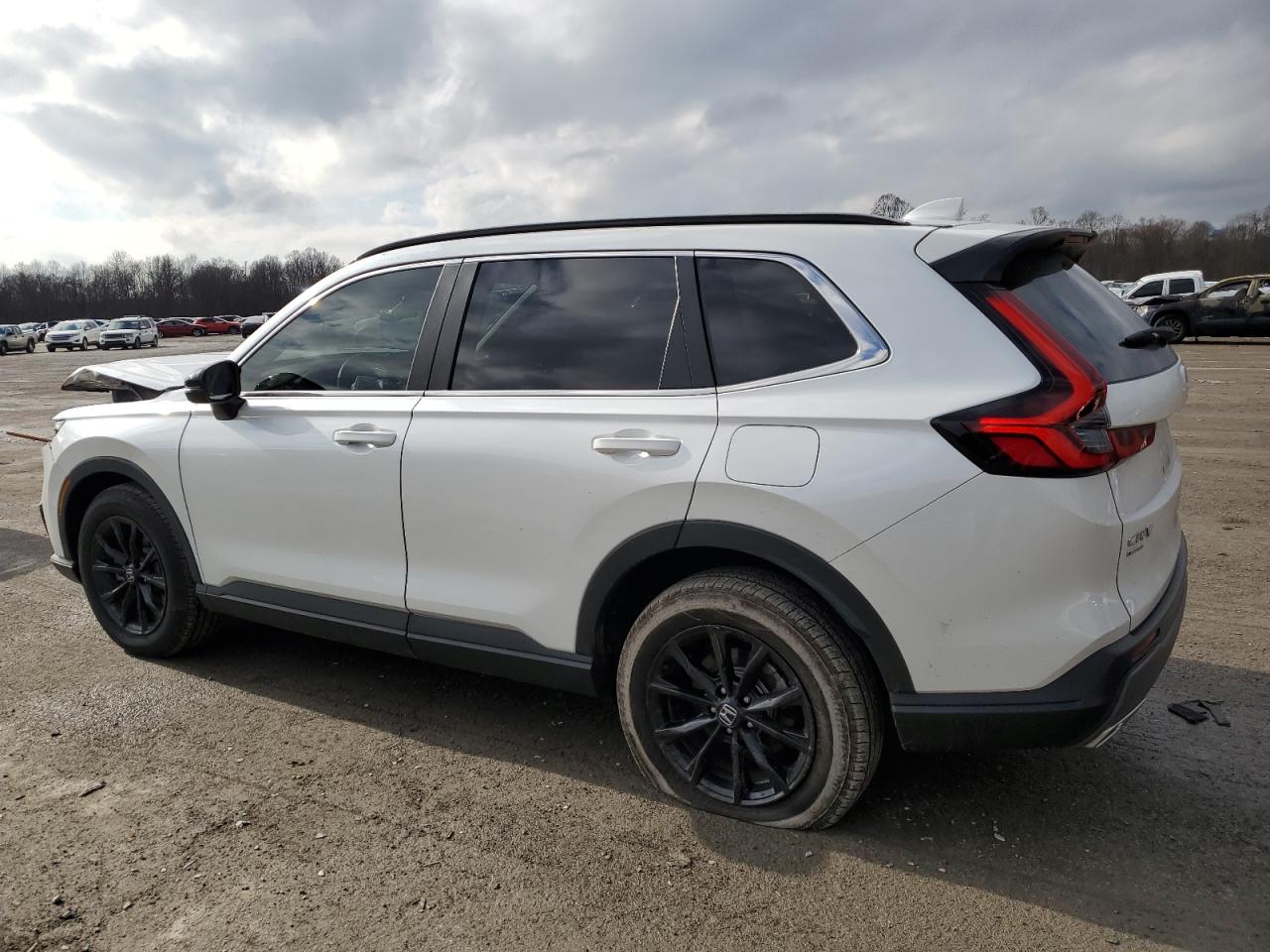 2024 HONDA CR-V SPORT VIN:7FARS6H53RE057848