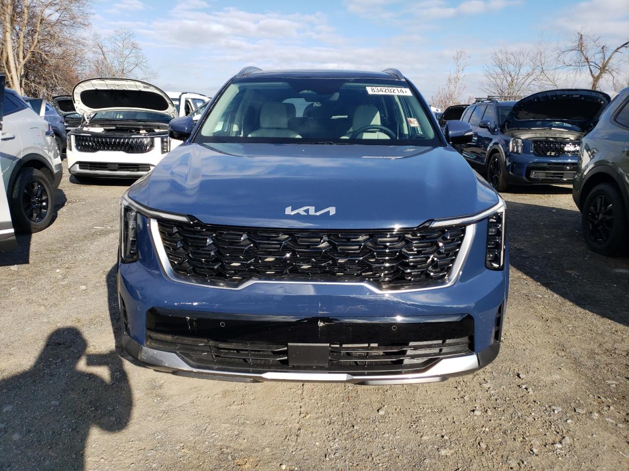 2024 KIA SORENTO S VIN:5XYRL4JC6RG301734