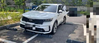 2020 Kia Sorento KNARG81BHMA001830 VIN:KNARG81BHMA001830