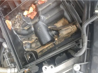 2020 Mercedes-Benz S 450 W1KUG6EB0LA530273 VIN:W1KUG6EB0LA530273